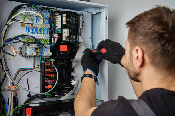 Licensed Electrical Panel Upgrade service in Niles, MI - No Joke electrician
